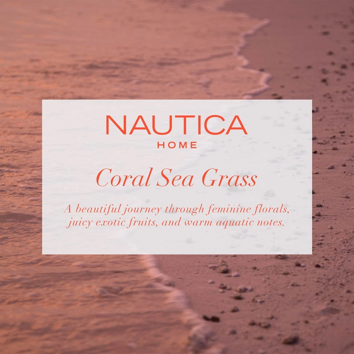 Best Pirce ✨ Nautica Coral Sea Grass 3 Wick Jar Candle ???? 4 Best Pirce ✨ Nautica Coral Sea Grass 3 Wick Jar Candle ???? - Image 4