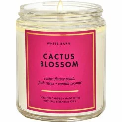 Wholesale ⭐ Bath & Body Works Cactus Blossom Single Wick Candle ????