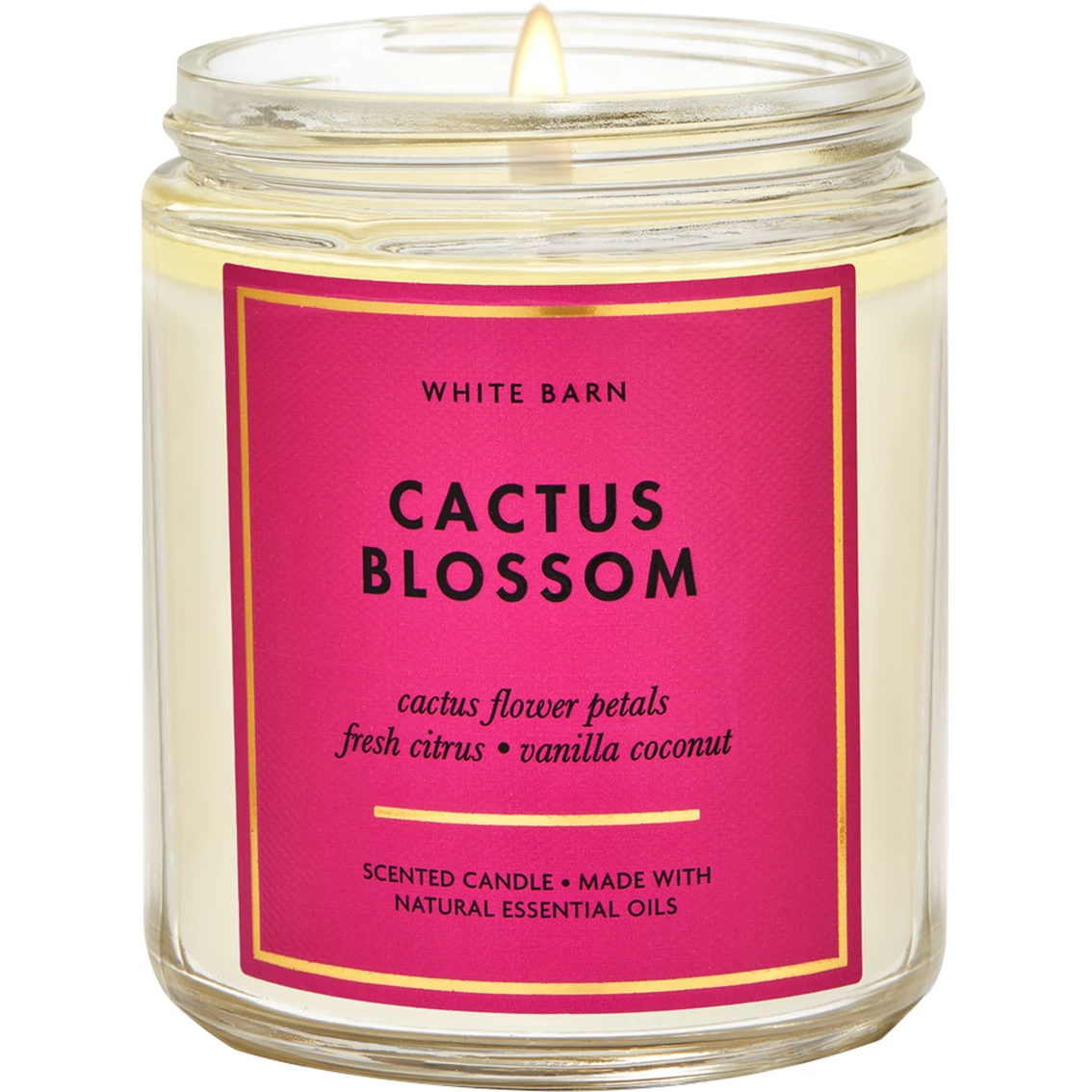 Wholesale ⭐ Bath & Body Works Cactus Blossom Single Wick Candle ???? 1 Wholesale ⭐ Bath & Body Works Cactus Blossom Single Wick Candle ????