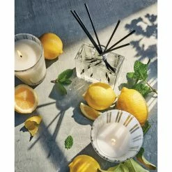Wholesale ???? NEST NEW YORK Nest Fragrances Amalfi Lemon And Mint Votive Candle ???? 7 Wholesale ???? NEST NEW YORK Nest Fragrances Amalfi Lemon And Mint Votive Candle ???? -Default Template 4 unnamed file 344