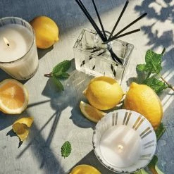 Buy ???? NEST NEW YORK Nest Fragrances Amalfi Lemon And Mint Classic Candle ???? -Default Template 4 unnamed file 472
