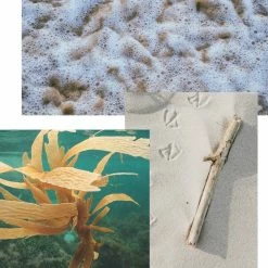 Brand new ???? Nautica Sailor Candle ✔️ -Default Template 4 unnamed file 84