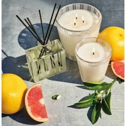Cheapest ???? NEST NEW YORK Nest Fragrances Grapefruit Classic Candle ???? -Default Template 4 unnamed file 886